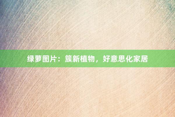 绿萝图片：簇新植物，好意思化家居