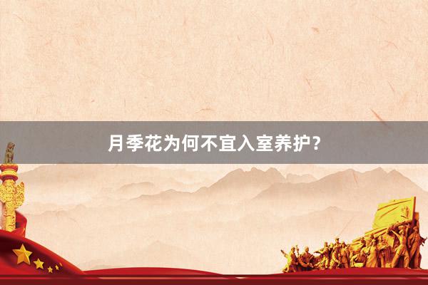 月季花为何不宜入室养护？